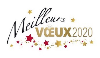 Résultat de recherche d'images pour "meilleurs voeux 2020"